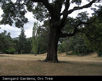 Isengard Gardens, Orc Tree